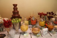 /album/galeria-de-fotos-casamento-de-juliana-nicolas/j-n-1644-jpg1/